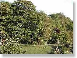 The garden at the Snuggery